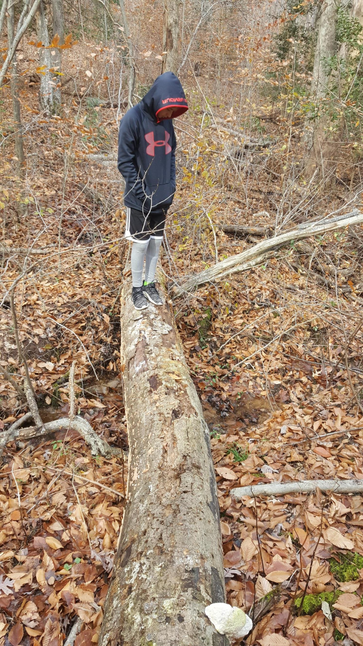 Picture of student on log.