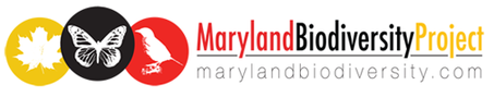 Maryland Biodiversity Project logo.
