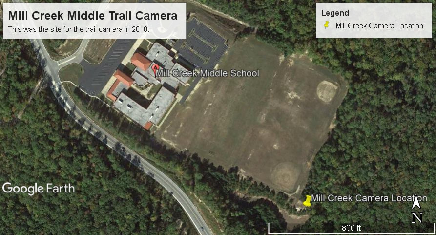 Picture of Mill Creek Middle School